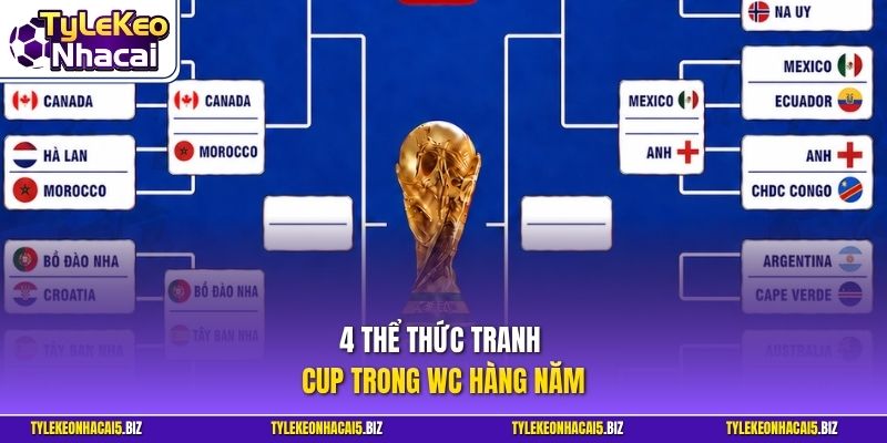 4 thể thức tranh cup trong WC hàng năm