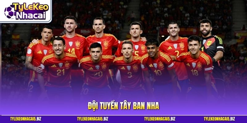 Đội tuyển Tây Ban Nha