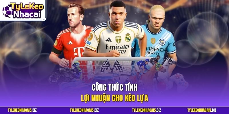 Công thức tính lợi nhuận cho kèo lựa