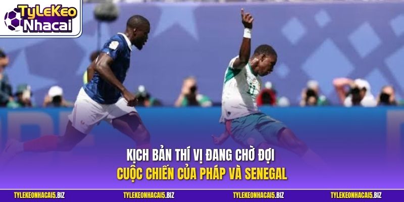 Kịch bản thí vị đang chờ đợi cuộc chiến của Pháp Và Senegal