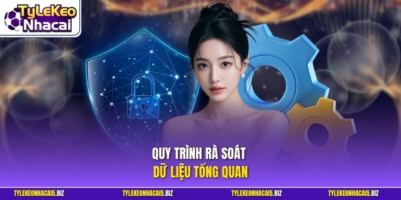 Quy trình rà soát dữ liệu tổng quan