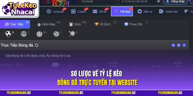 Sơ lược về tỷ lệ kèo bóng đá trực tuyến tại website