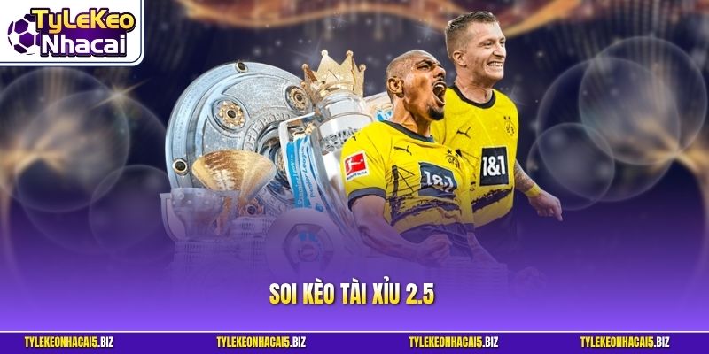 Soi Kèo Tài Xỉu 2.5 - Bí Quyết Chinh Phục Mốc Vàng