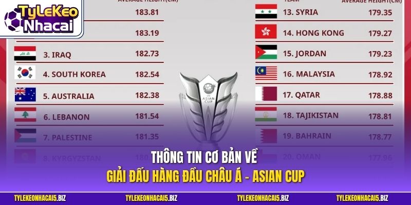 Thông tin cơ bản về giải đấu hàng đầu châu Á - Asian Cup