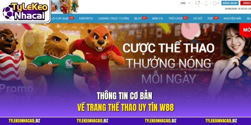 Thông tin cơ bản về trang thể thao uy tín W88