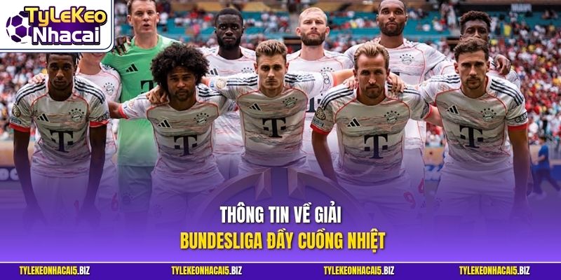 Thông tin về giải Bundesliga đầy cuồng nhiệt